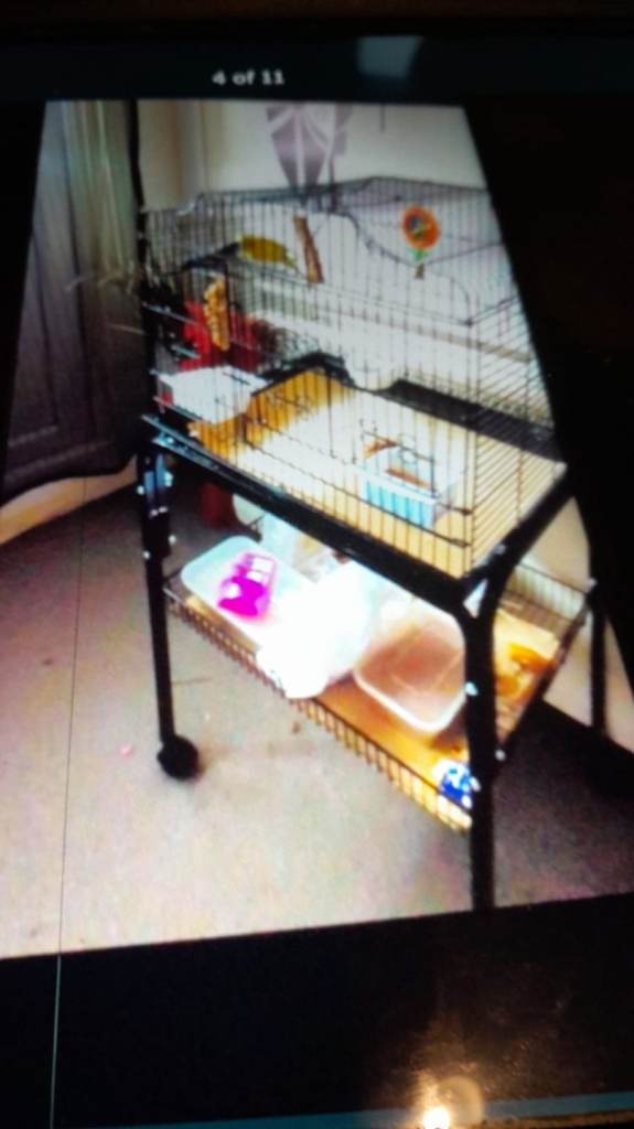 Budgie cage with wheels on it 