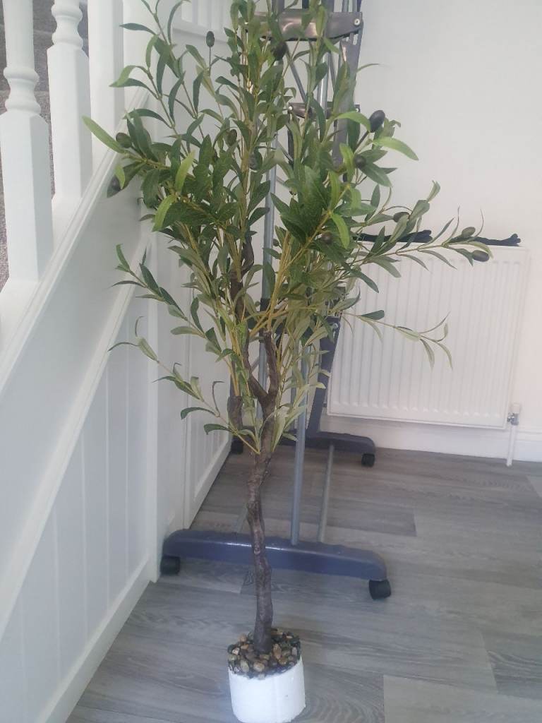 Artificial Olive plant ☘️