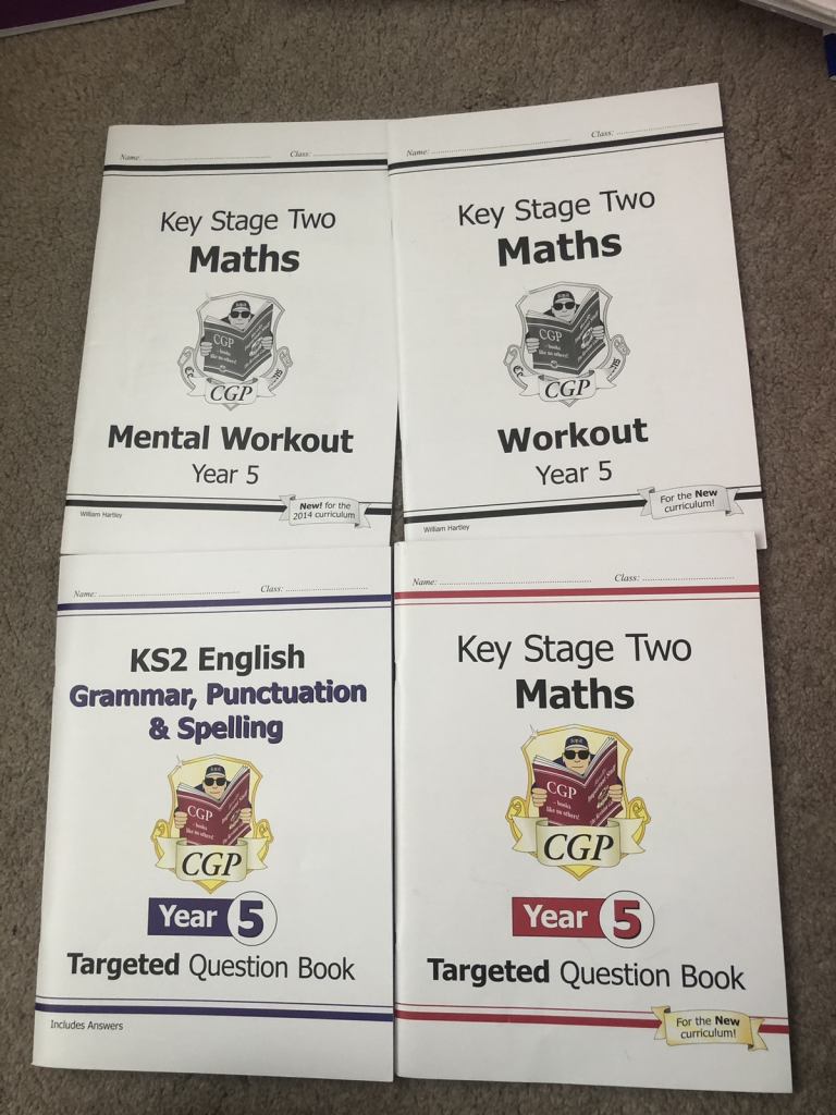 Mix of year 5 revision books 