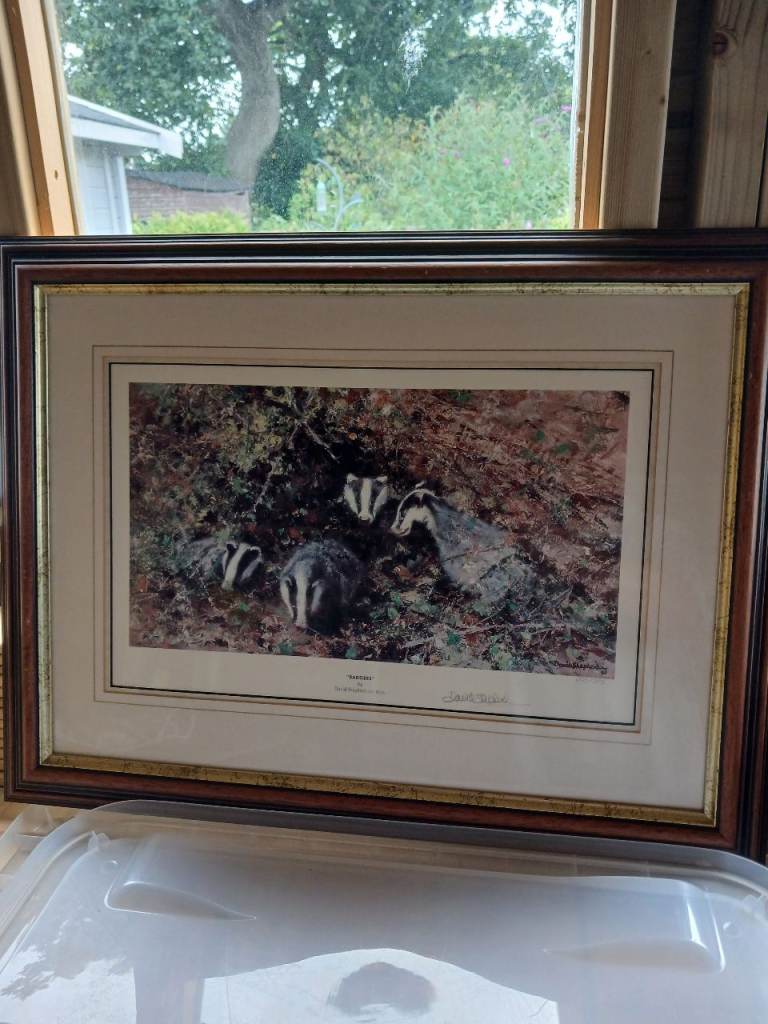 David Shepherd signed limited edition print