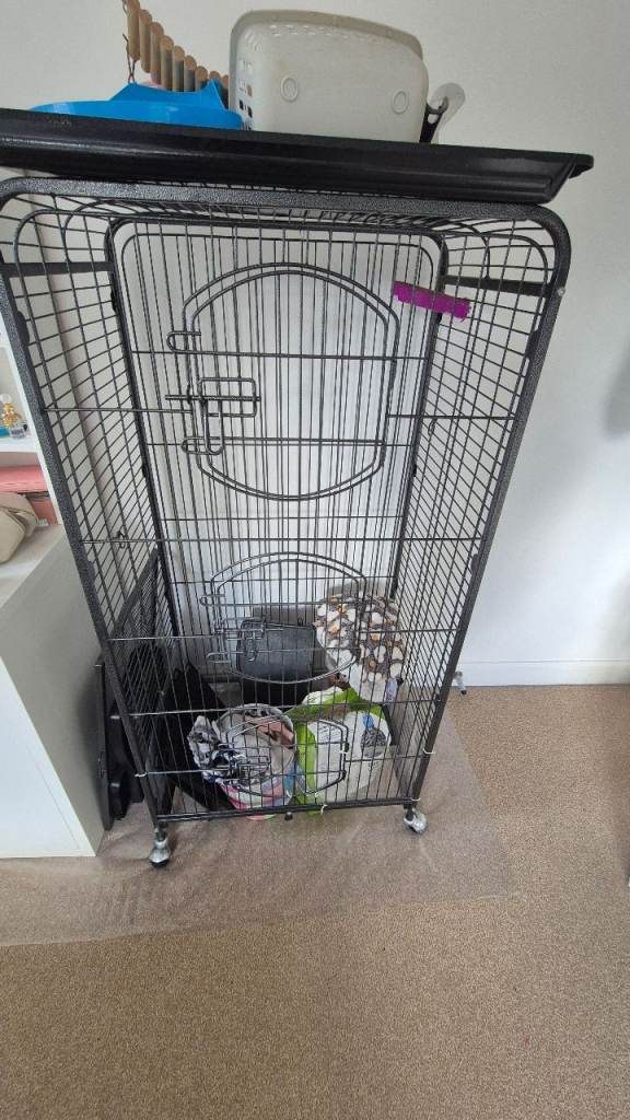 Rat cage