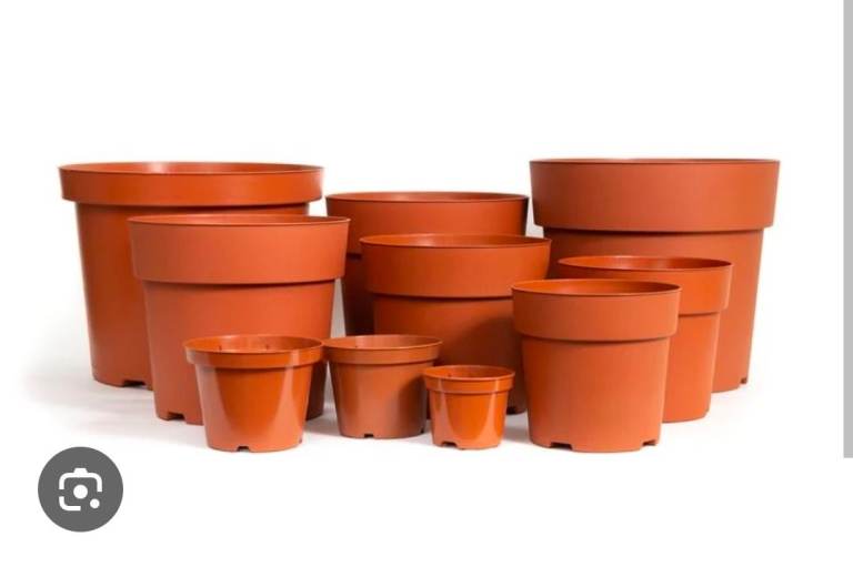 Wanted - plant pots for our school