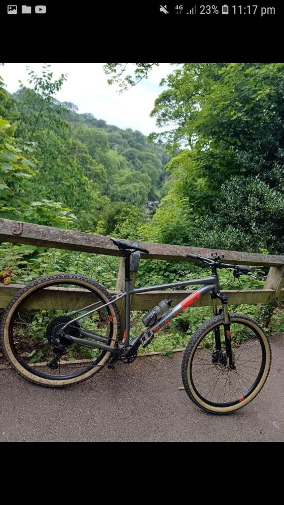 Marin Bobcat Trail 5