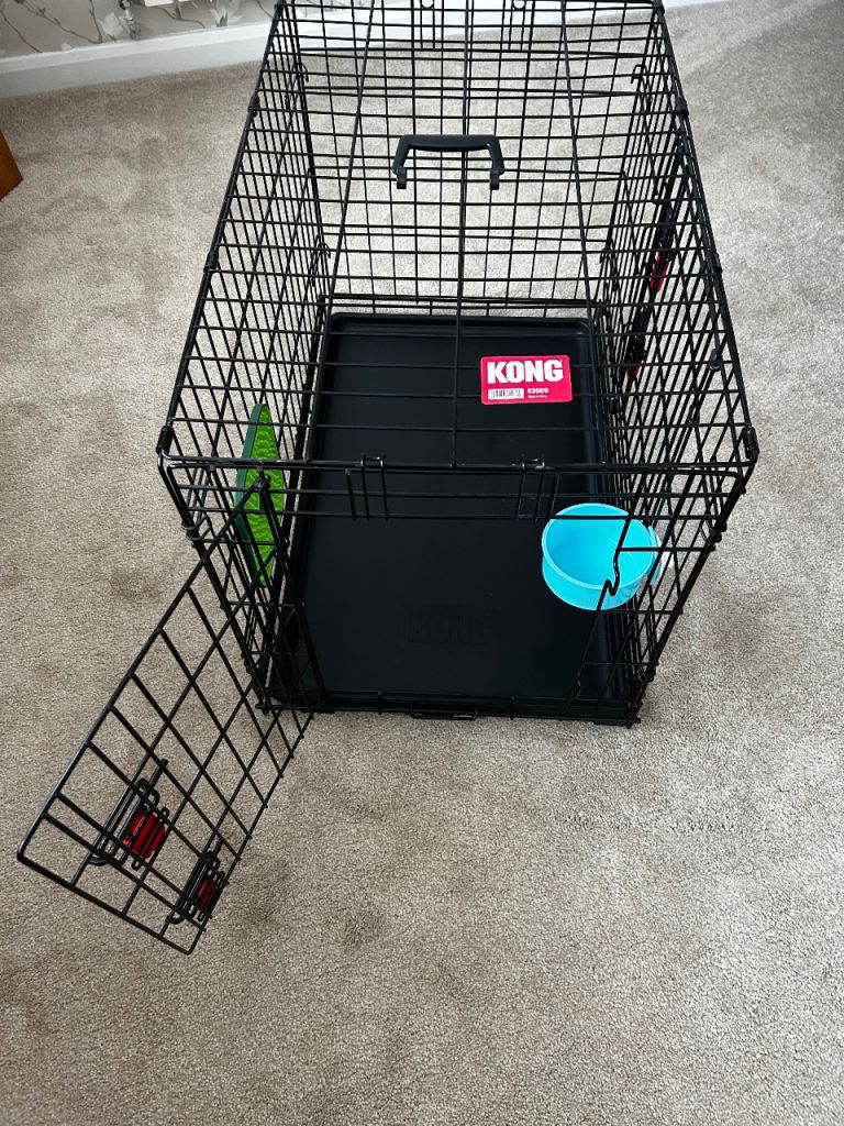 Kong dog crate