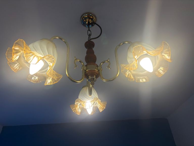 Antique Brass And Wood And Glass Vintage Light