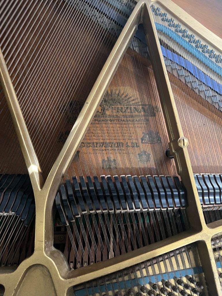 Schweighofer Grand piano 