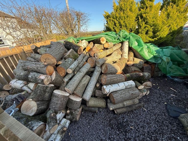 Firewood logs unsplit 
