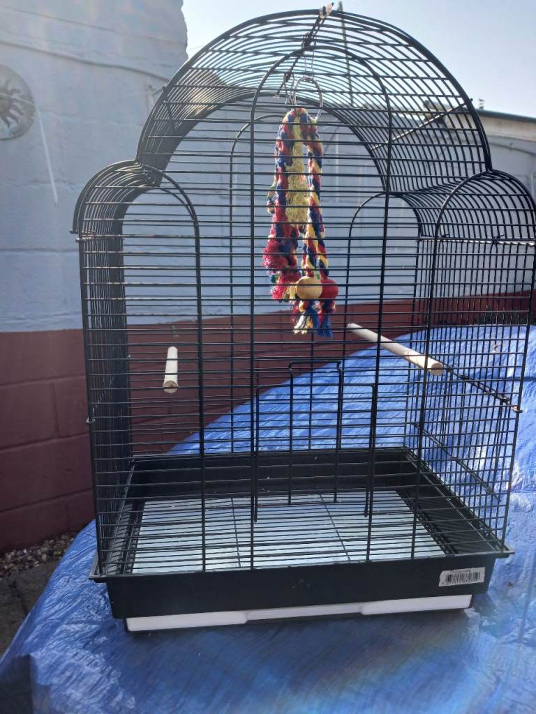 Black bird cage