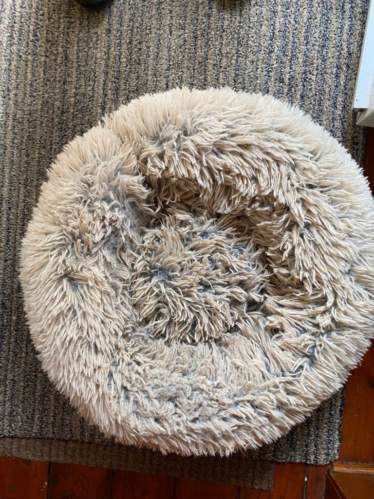 CAT BED