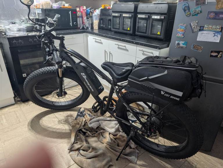 Electric mountain bike