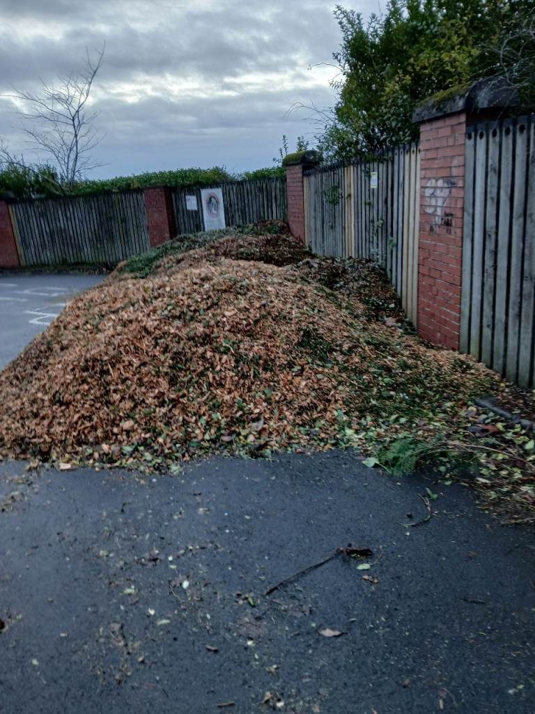 Free   freebies woodchips for paths etc