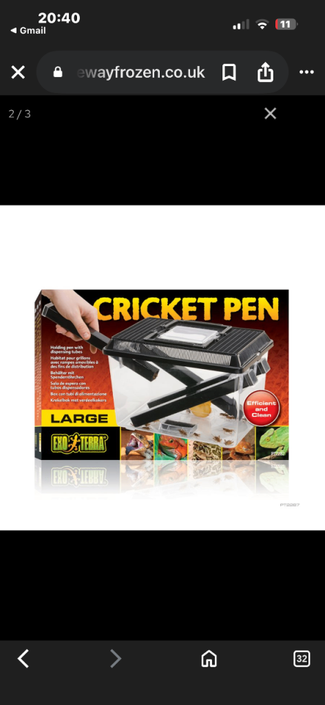 Large exo terra cricket pen with jelly bug  pots (reptile bearded dragons leopard geckos etc) 