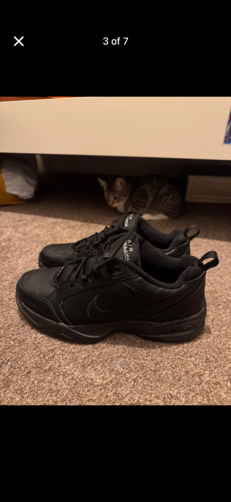 Men's Nike air monarch