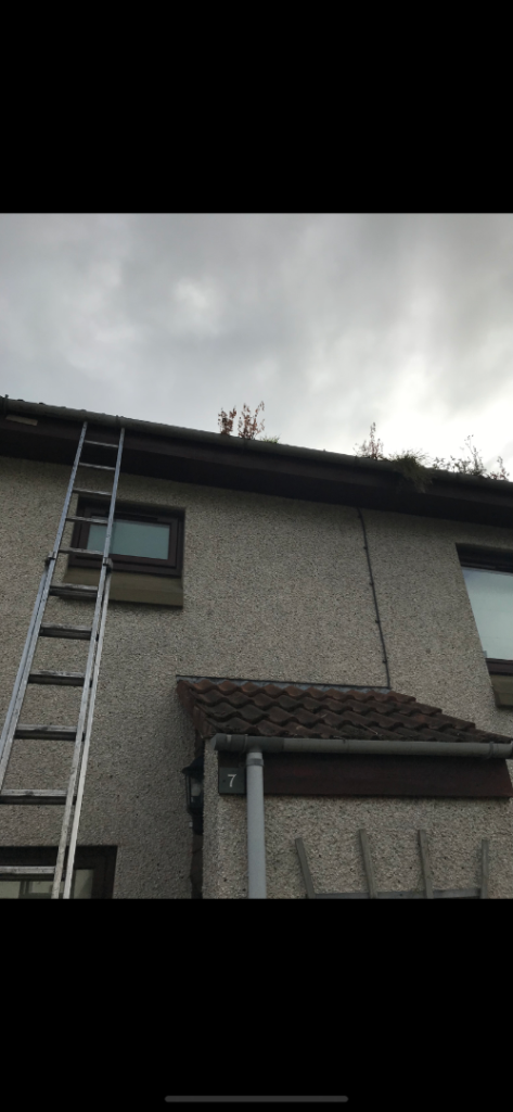 Gutter cleaning and repair.