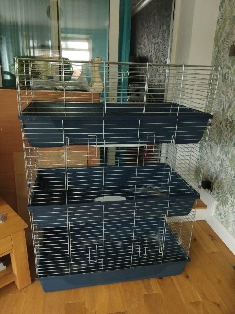 Indoor rabbit/guinea pig cage