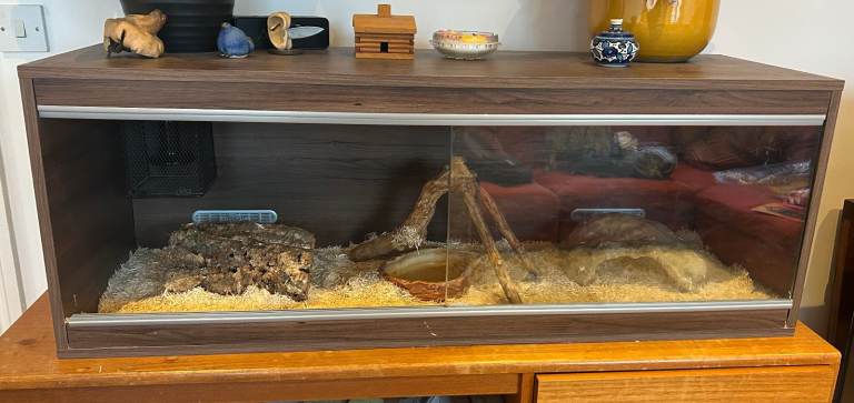 Reptile Vivarium with Heat Lamp, Thermostat, Independent Thermometer