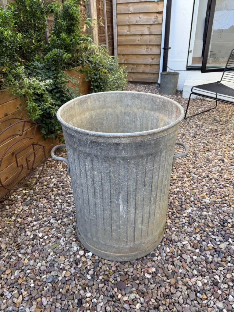 Galvanised dustbin planter 