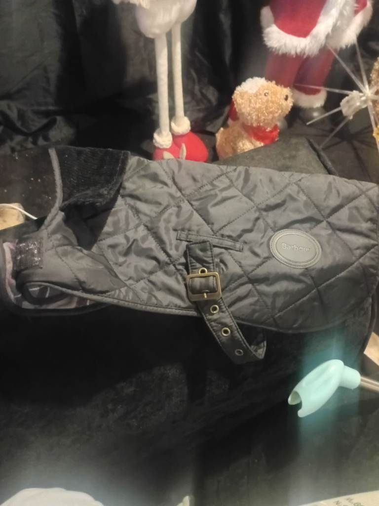 Dogs barbour coat