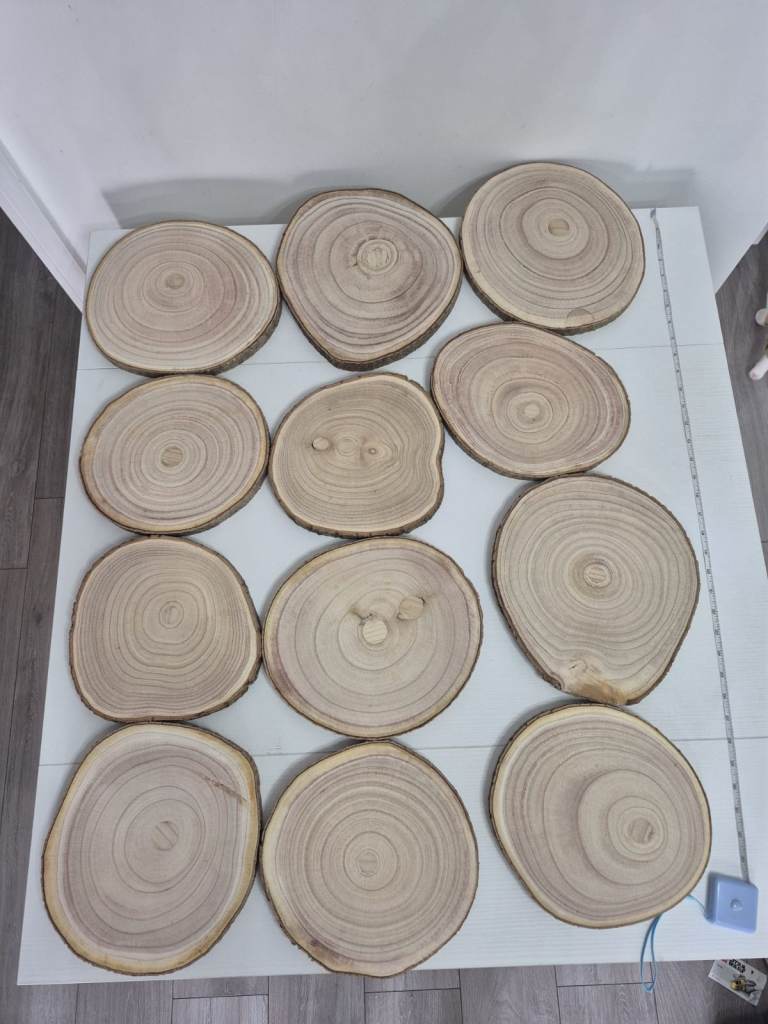 Rustic Wood Slices - Set of 12
