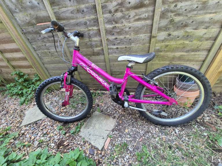 Ridgeback Girls bike 