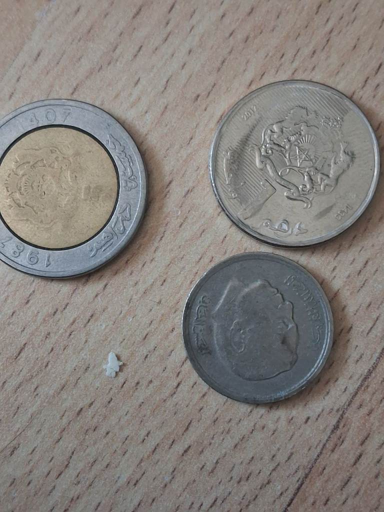 3 coins morocco 