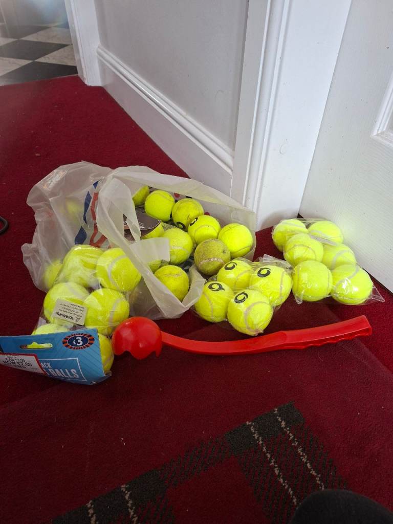 Balls for dogs to chase with thrower