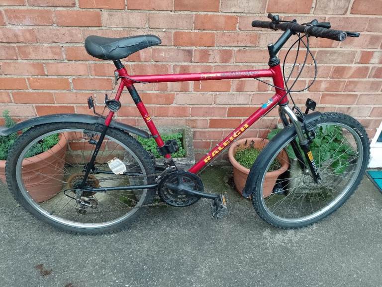 Man's Raleigh Activator Mountain Bike With Mudguards
