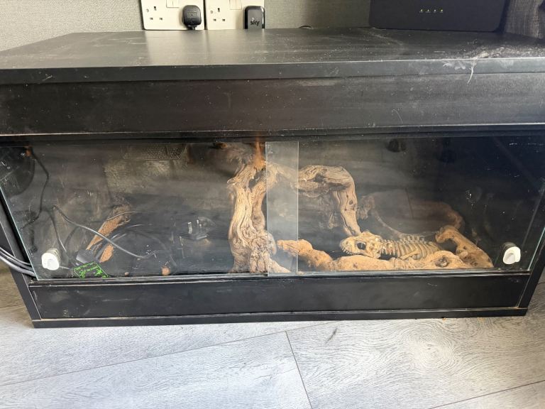 3ft vivarium 