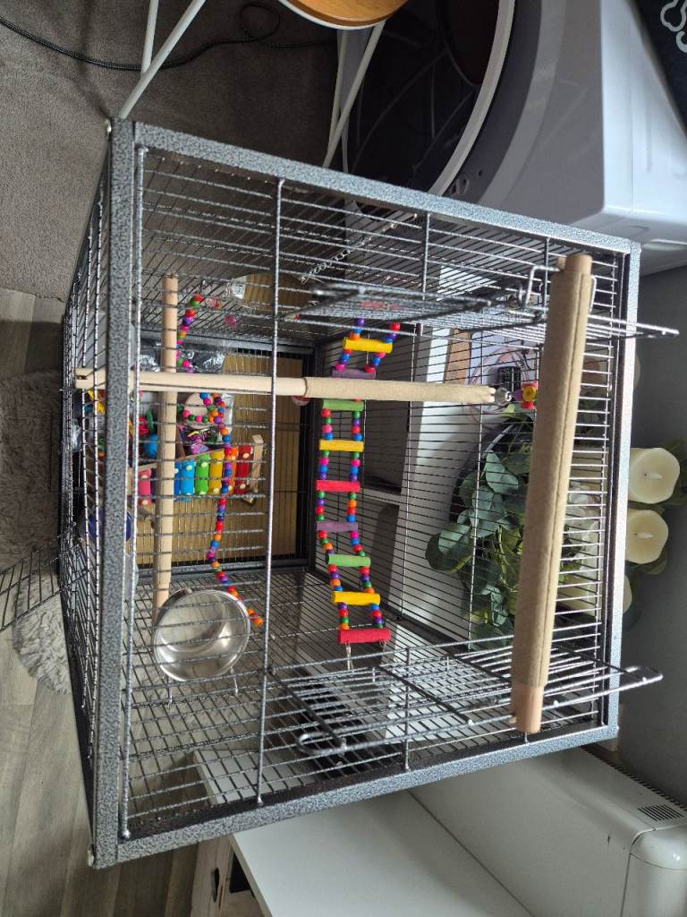 Bird cage (brand new)