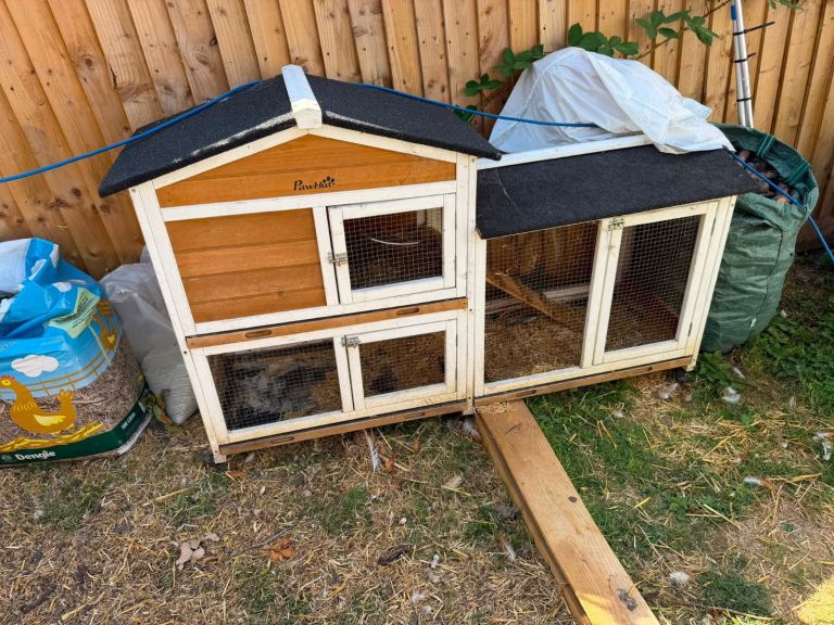 Animal hutch 