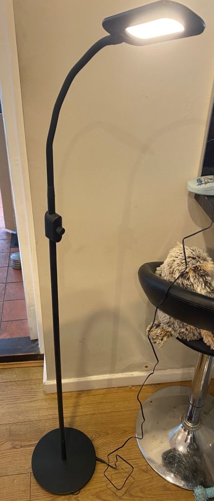 Standing lamp