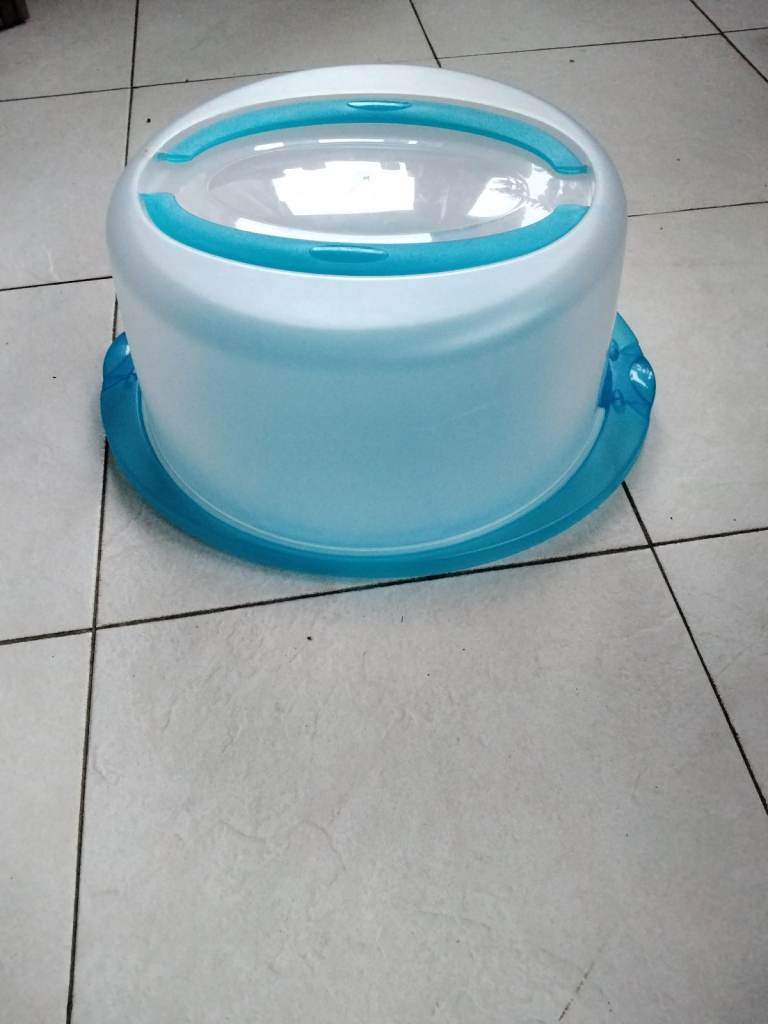 Large plastic cake box