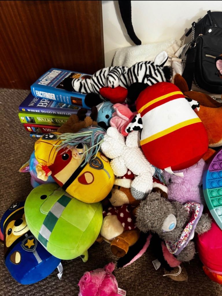 Large car boot sale bundle 