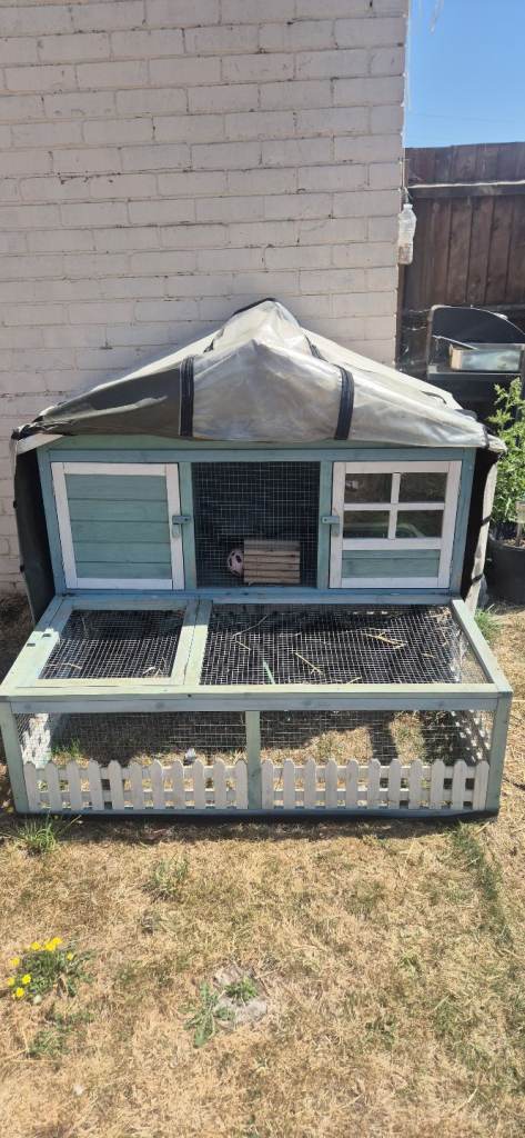 Guinea pig hutch, cover etc 