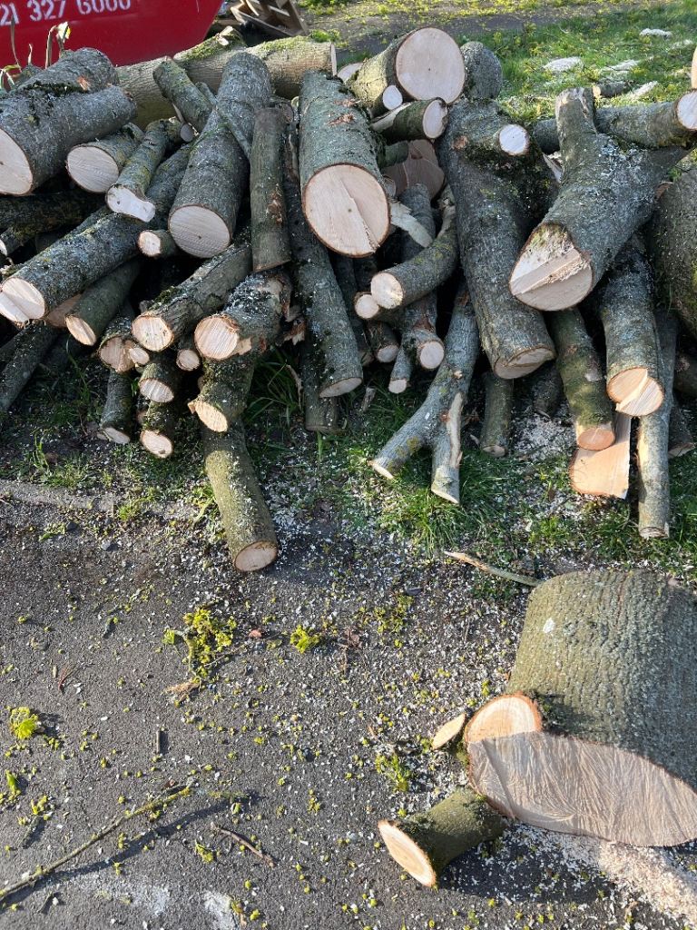 Tree surgeons and hedges and grass cutting and treem