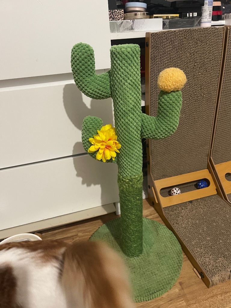 cactus cat scratcher cat toy cat tree cat furniture