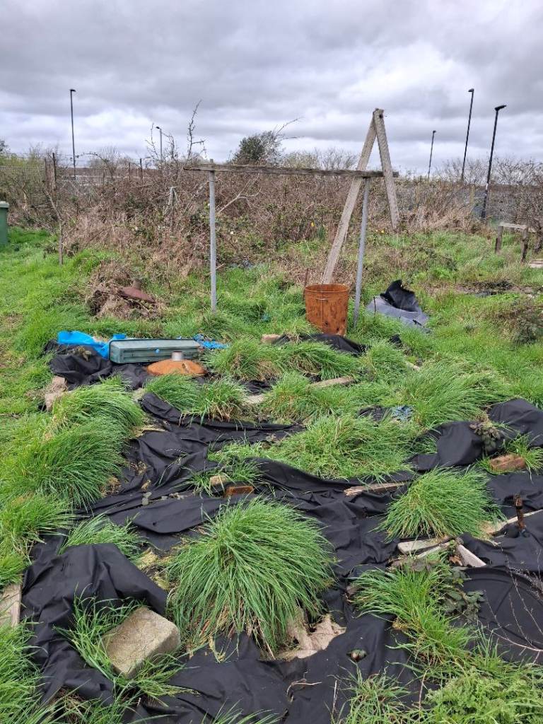 Allotment partner sought