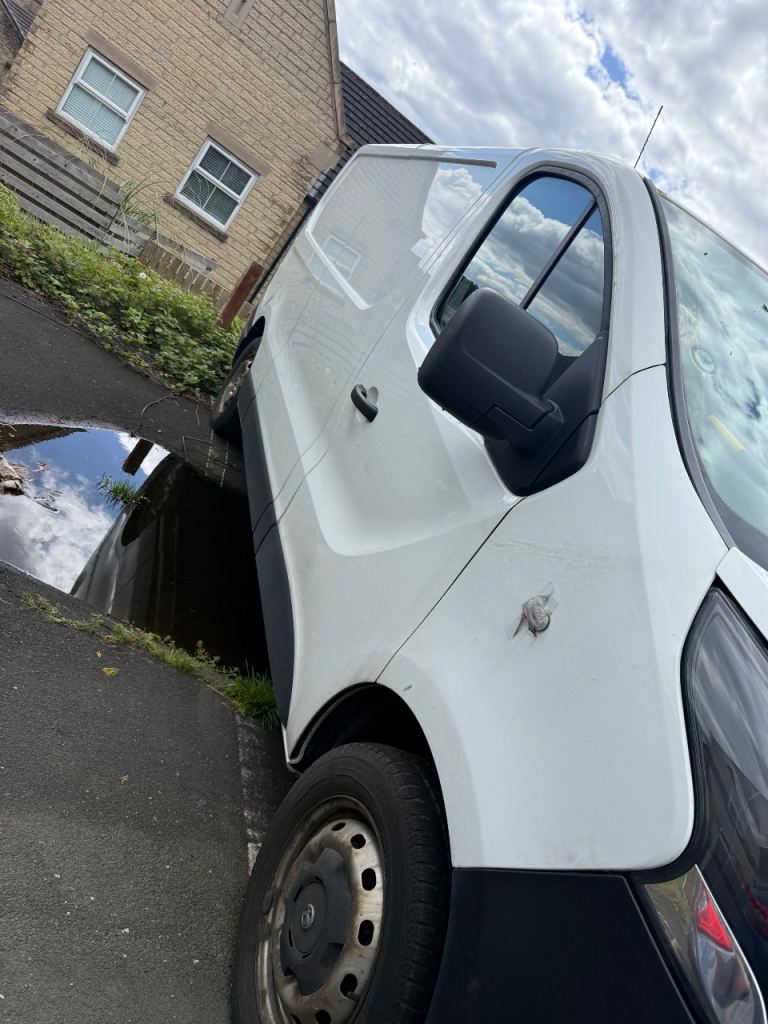 Vauxhall, VIVARO, Panel Van, 2019, Manual, 1598 (cc)