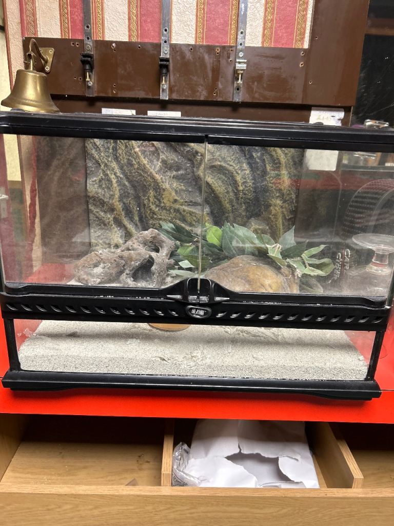 Snake Vivarium and ornaments