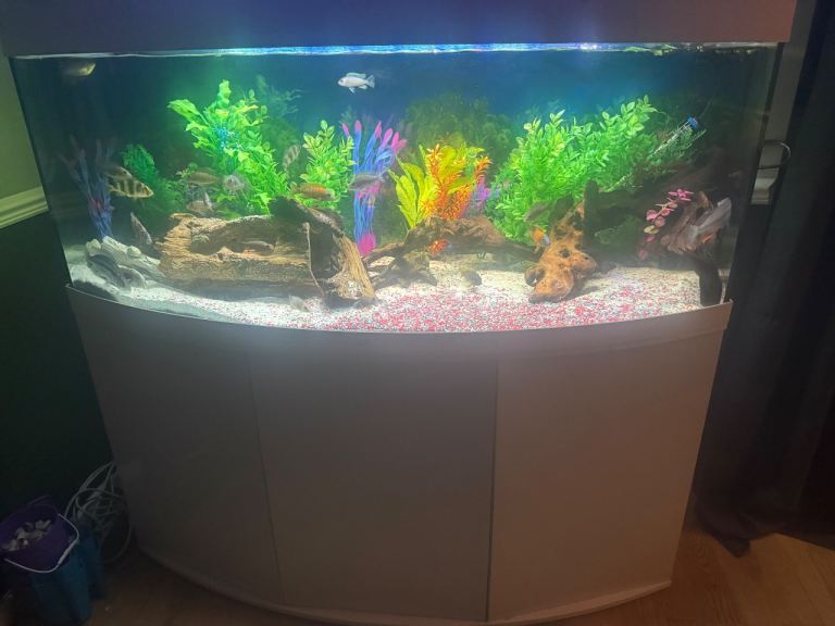 Juwel Vision 450 Aquarium Full Setup – Good Condition