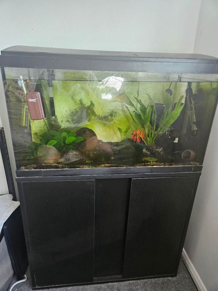 125L Fish Tank with Double Door Cabinet