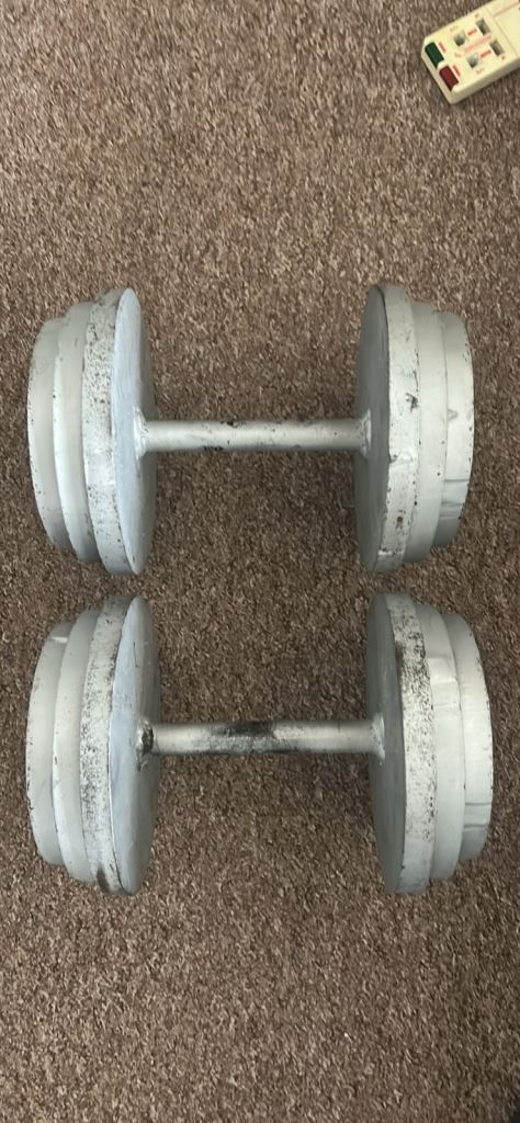 30KG Galvanised Steel Dumbbells (2)