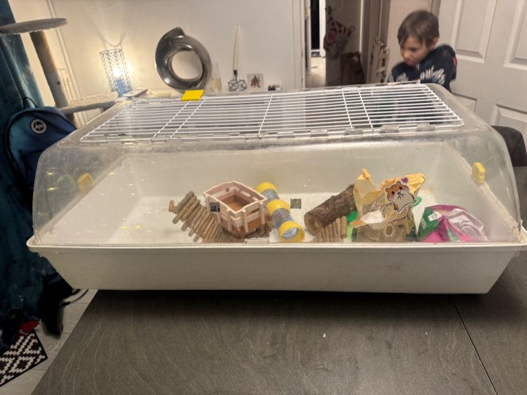 Extra large hamster/ rodent cage with accessories and food wheel tunnel 