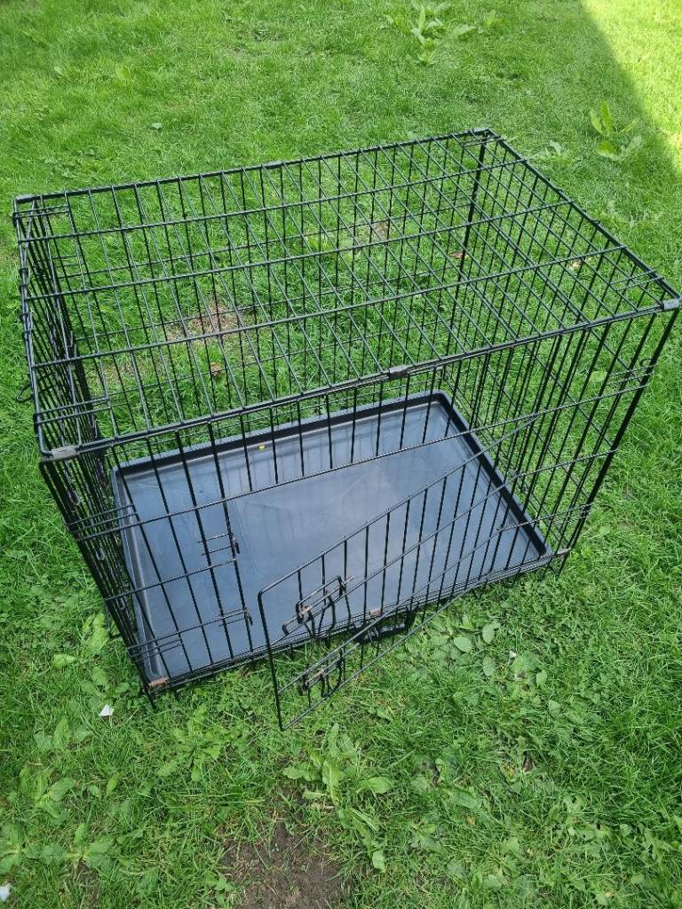 Black metal dog crate with plastic tray