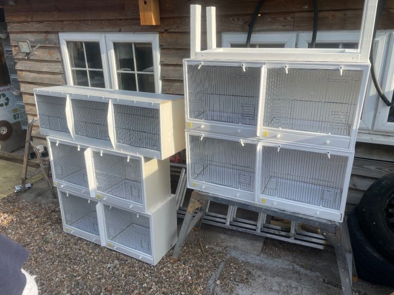Canary breeding cages upvc