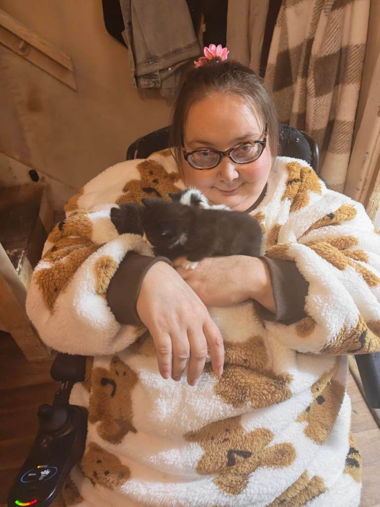 3 Kittens 