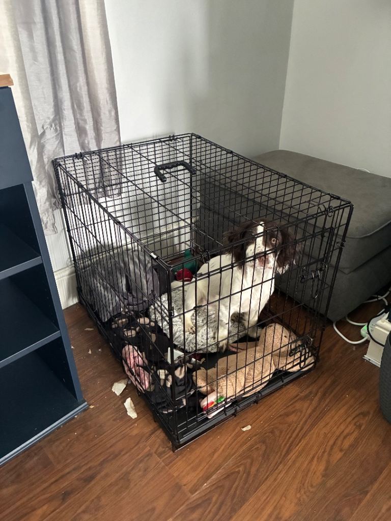 Medium dog crate 