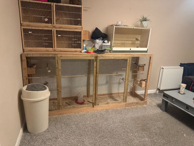 Full zebra finch set up 