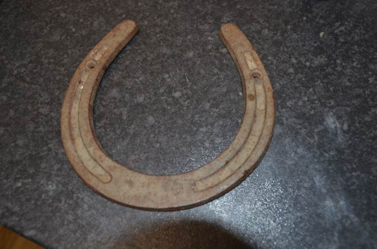 Lucky Horseshoes Race Horse Shoe  home decoration 