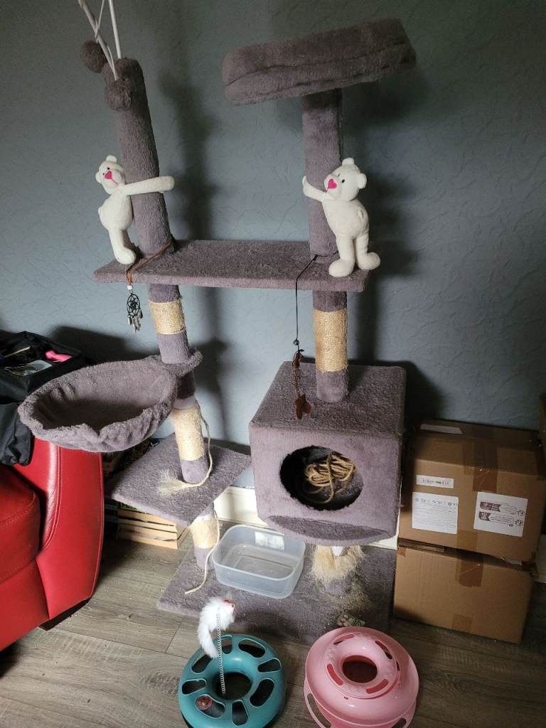 Cat tree tower and accessories 